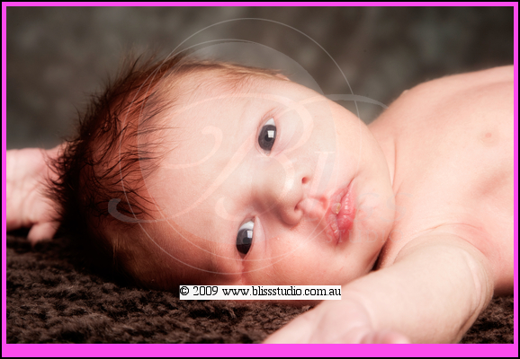 newborn baby photos perth