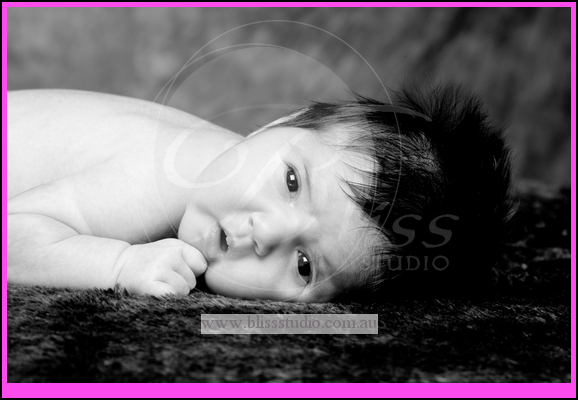 perth newborn portraits