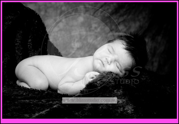 perth newborn portraits