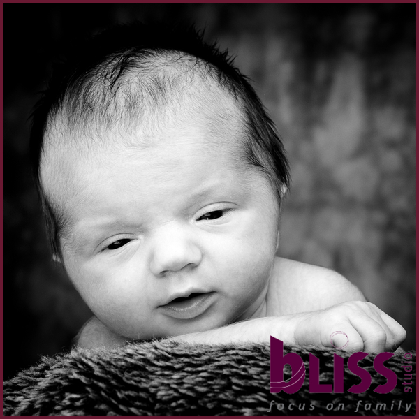 newborn-family-portraits